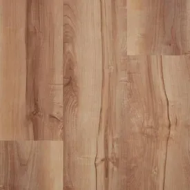 Cabin Maple Natural - Centura Vinyl Gluedown 2.5mm Sonata Wood