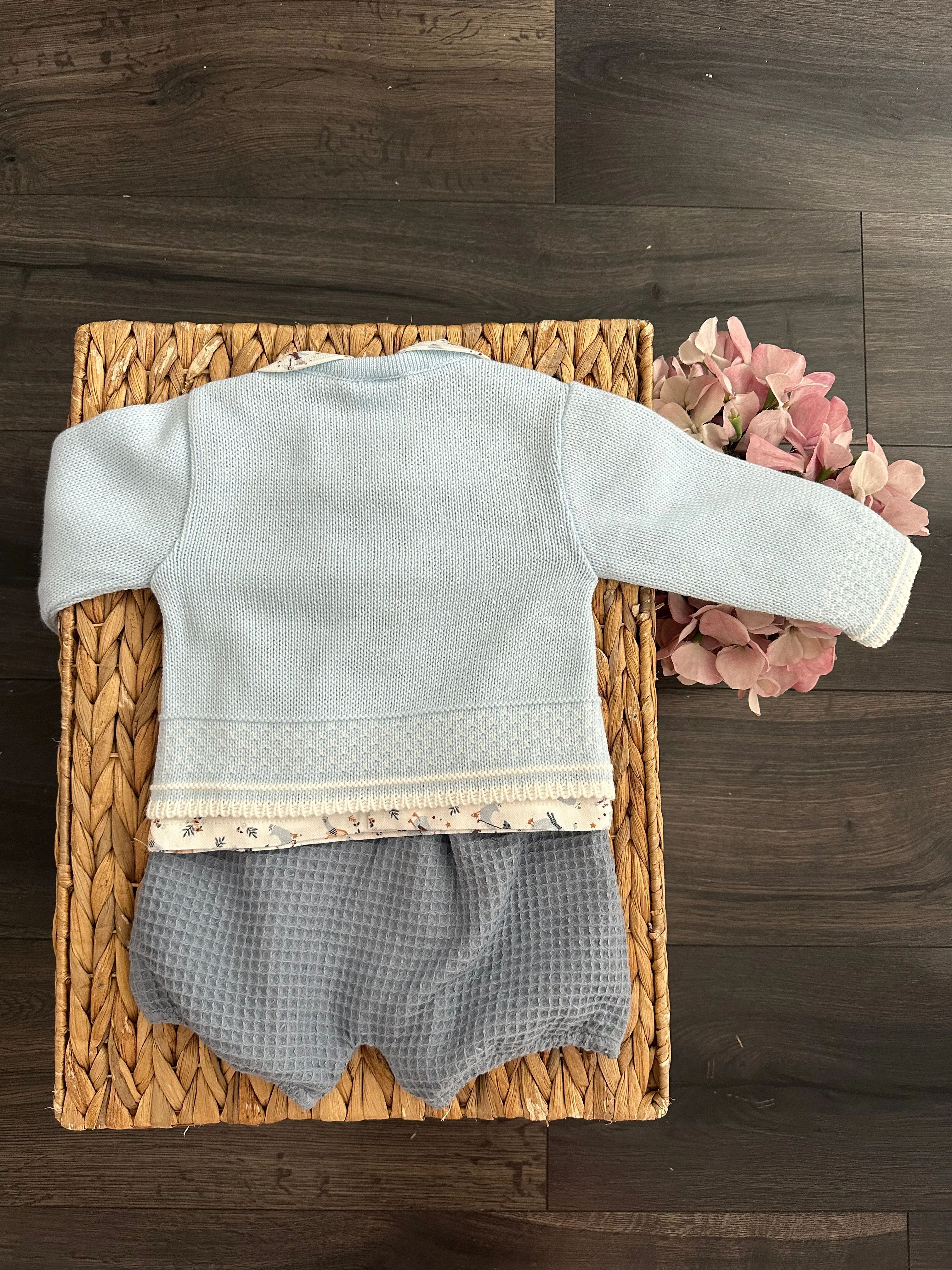 Elliot Knitted Cardigan with Waffle Short and Cute Ducks Shirt
