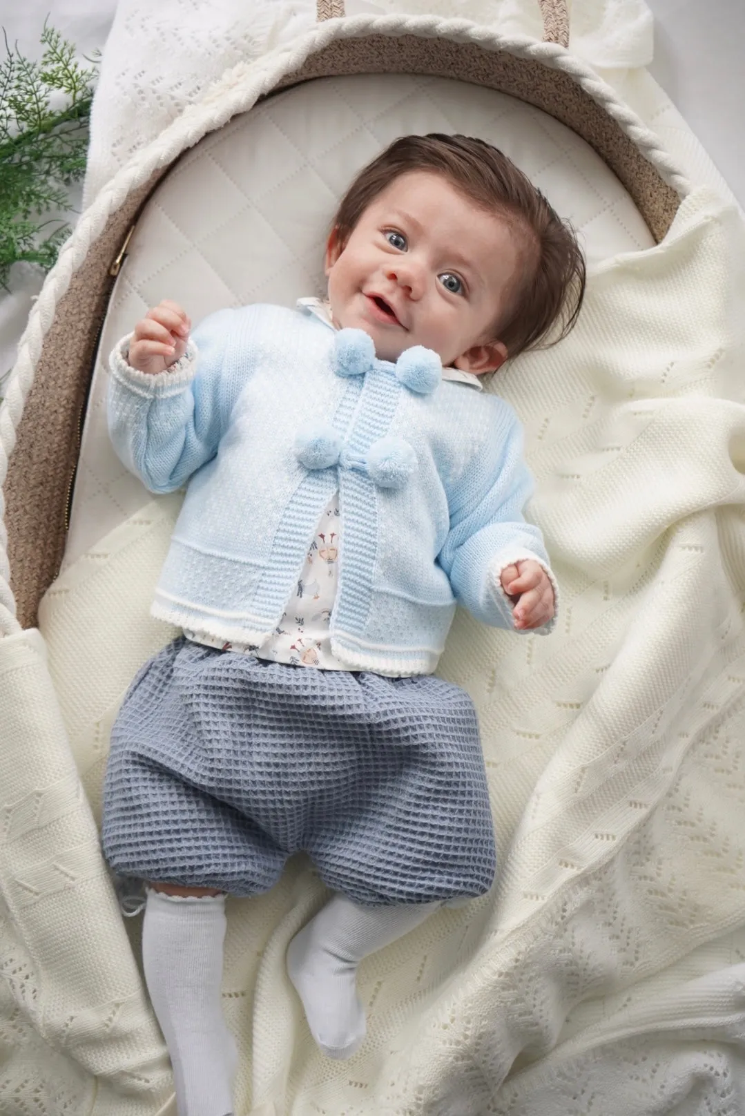 Elliot Knitted Cardigan with Waffle Short and Cute Ducks Shirt