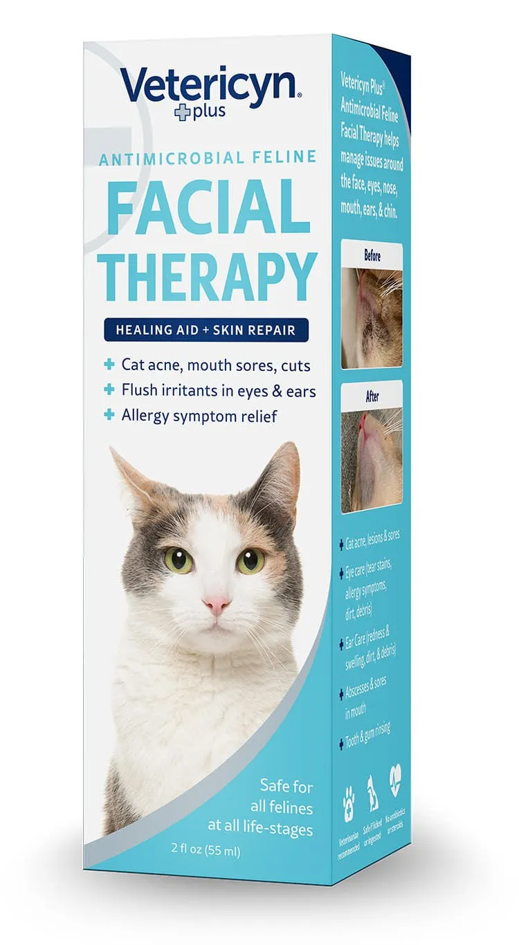 Feline Antimicrobial Facial Therapy
