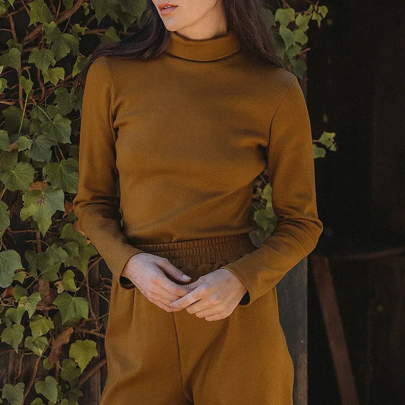 Heavy Turtleneck T shirt Autumn Winter Women High End Double Sided Brushed plus Thick Velvet Warm Top Inner Bottoming Shirt