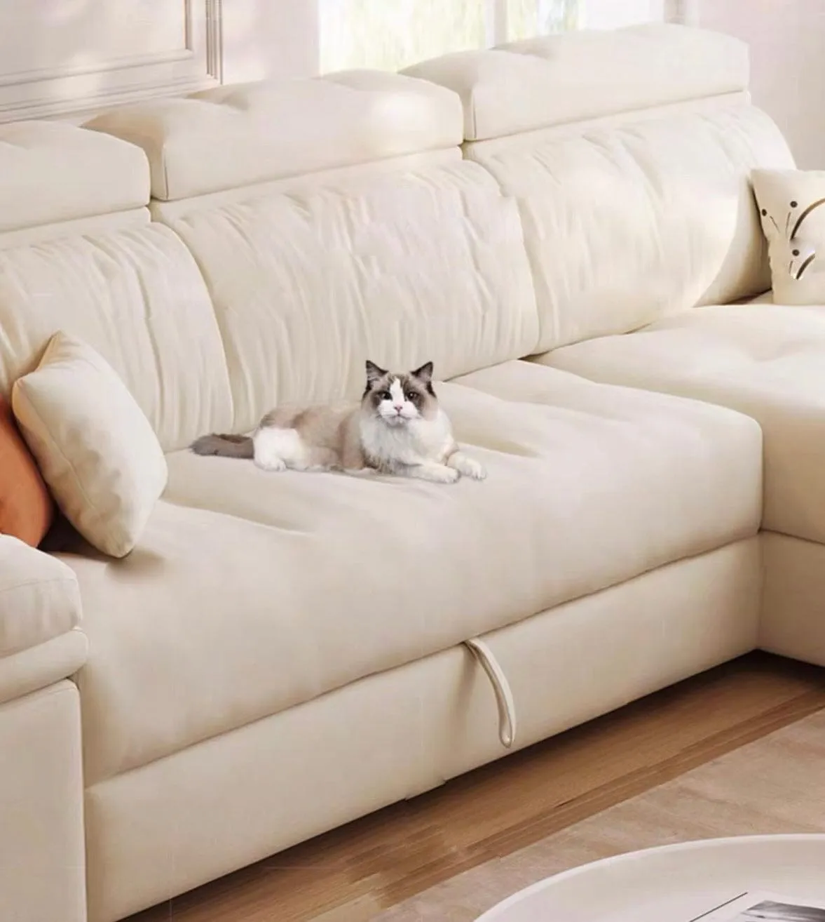 Marius Scratch Resistant Storage Sofa Bed