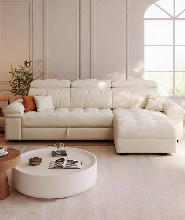 Marius Scratch Resistant Storage Sofa Bed
