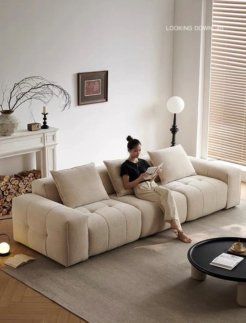 Moven Scratch Resistant Electric Sofa Bed