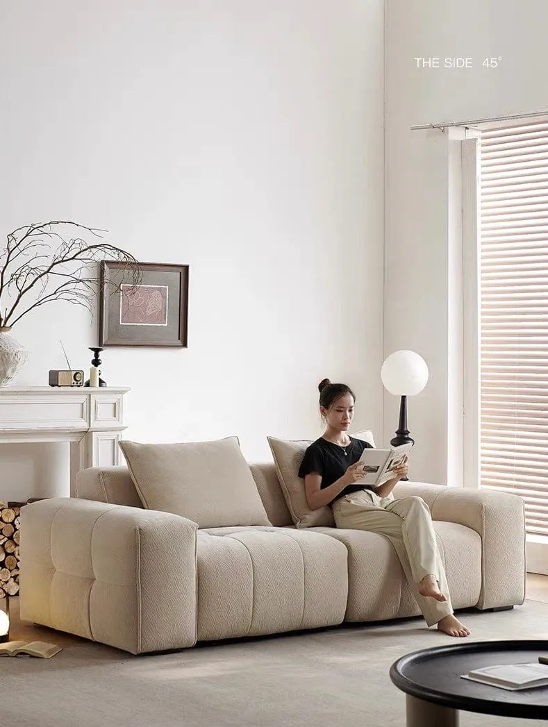 Moven Scratch Resistant Electric Sofa Bed