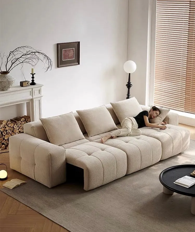Moven Scratch Resistant Electric Sofa Bed