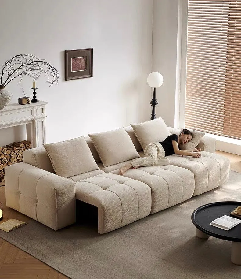 Moven Scratch Resistant Electric Sofa Bed