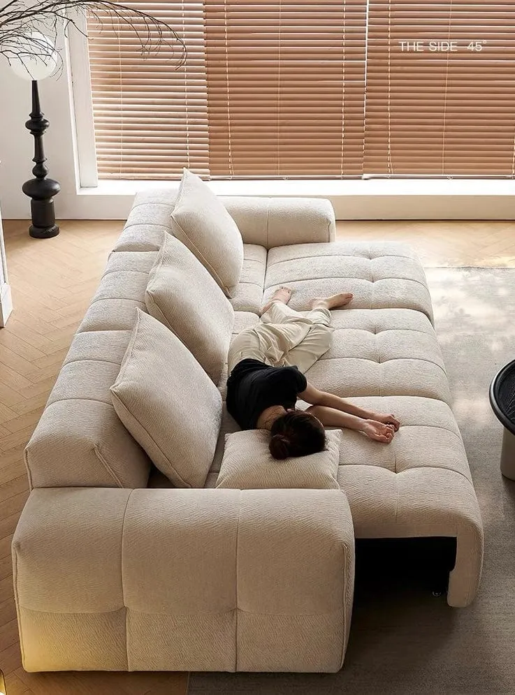Moven Scratch Resistant Electric Sofa Bed