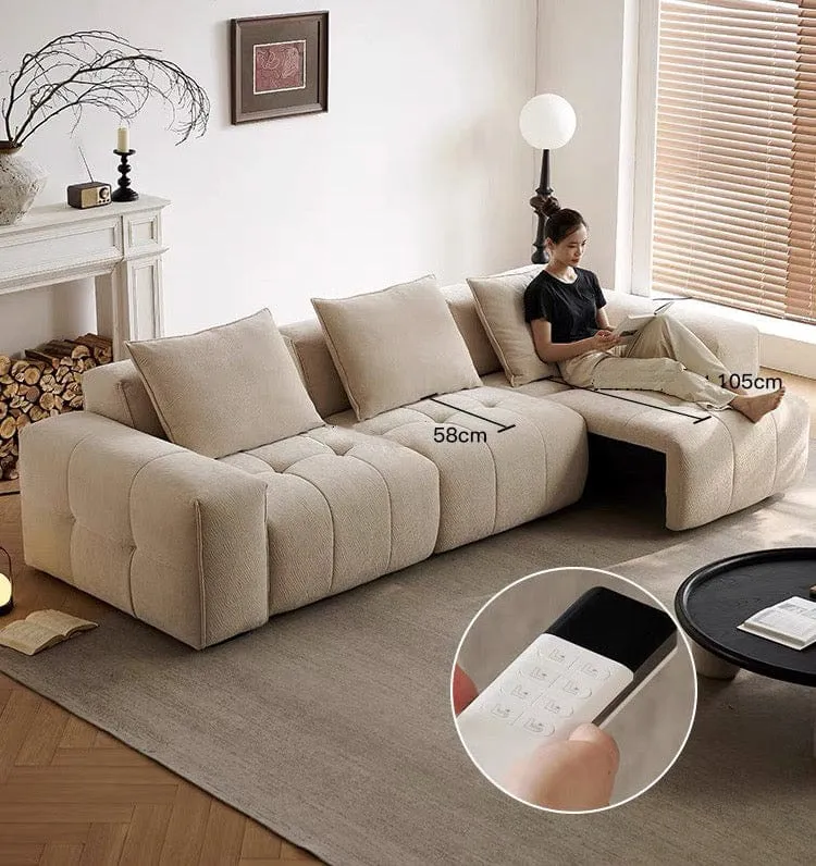 Moven Scratch Resistant Electric Sofa Bed