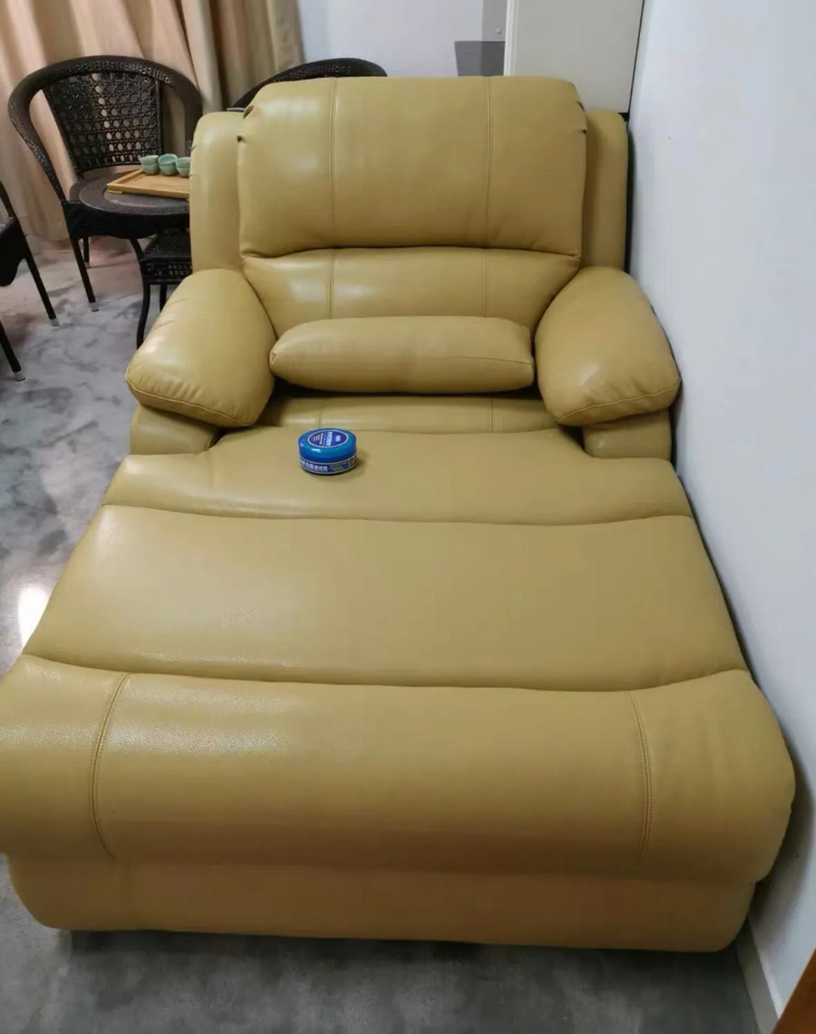 Rodeo Scratch Resistant Electric Recliner Lounge Sofa Bed