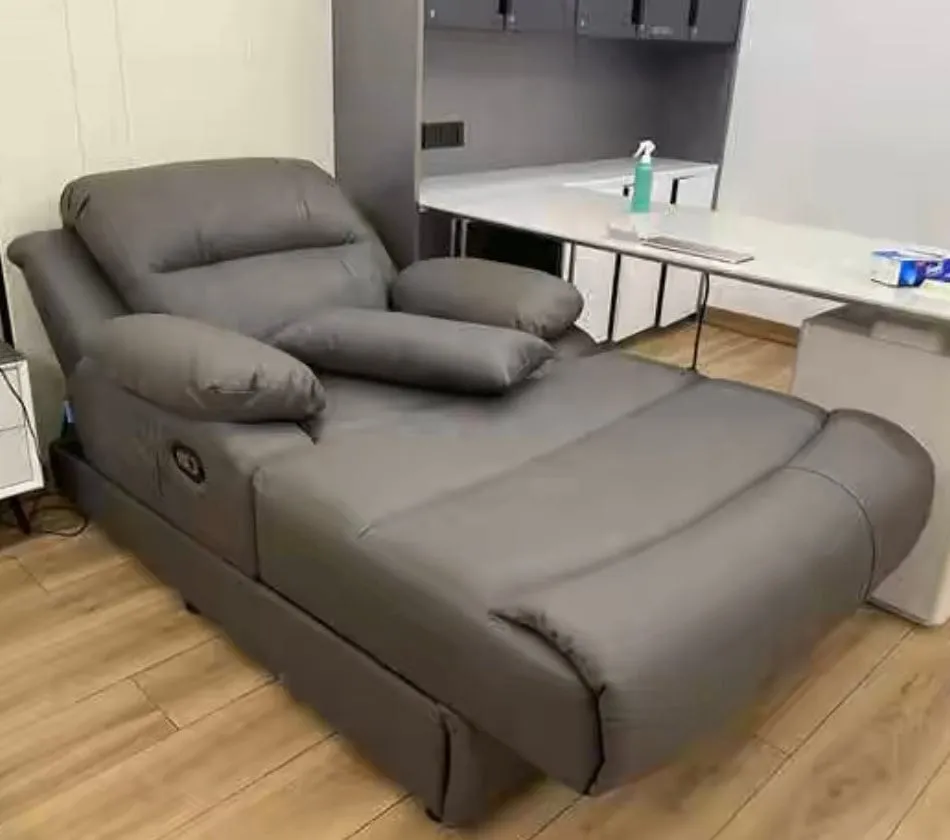 Rodeo Scratch Resistant Electric Recliner Lounge Sofa Bed