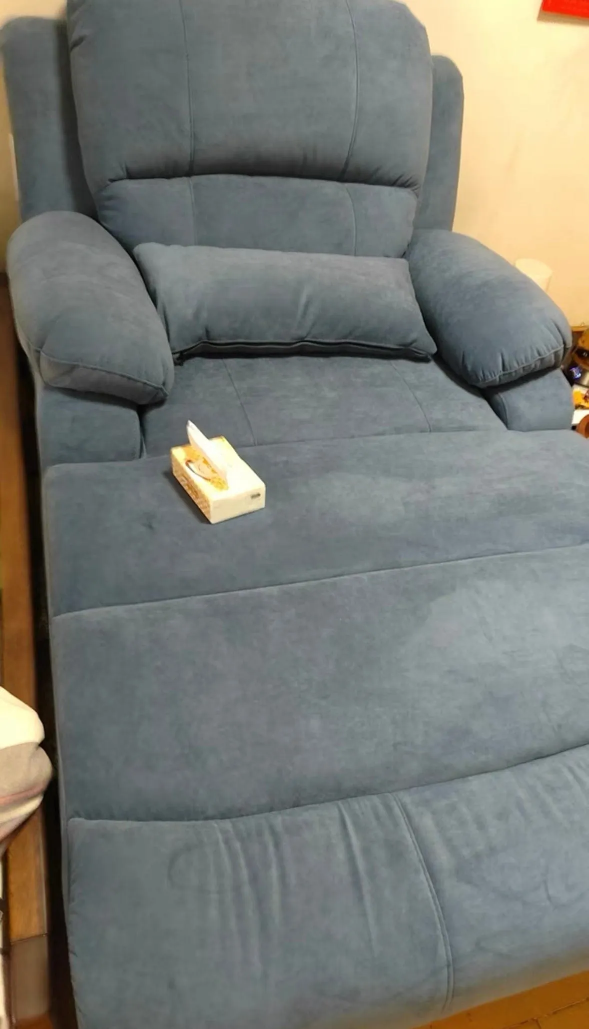 Rodeo Scratch Resistant Electric Recliner Lounge Sofa Bed